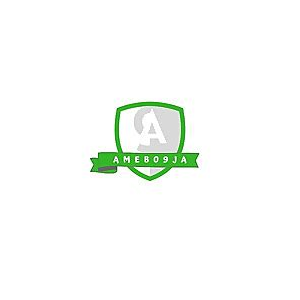Amebo9ja.com